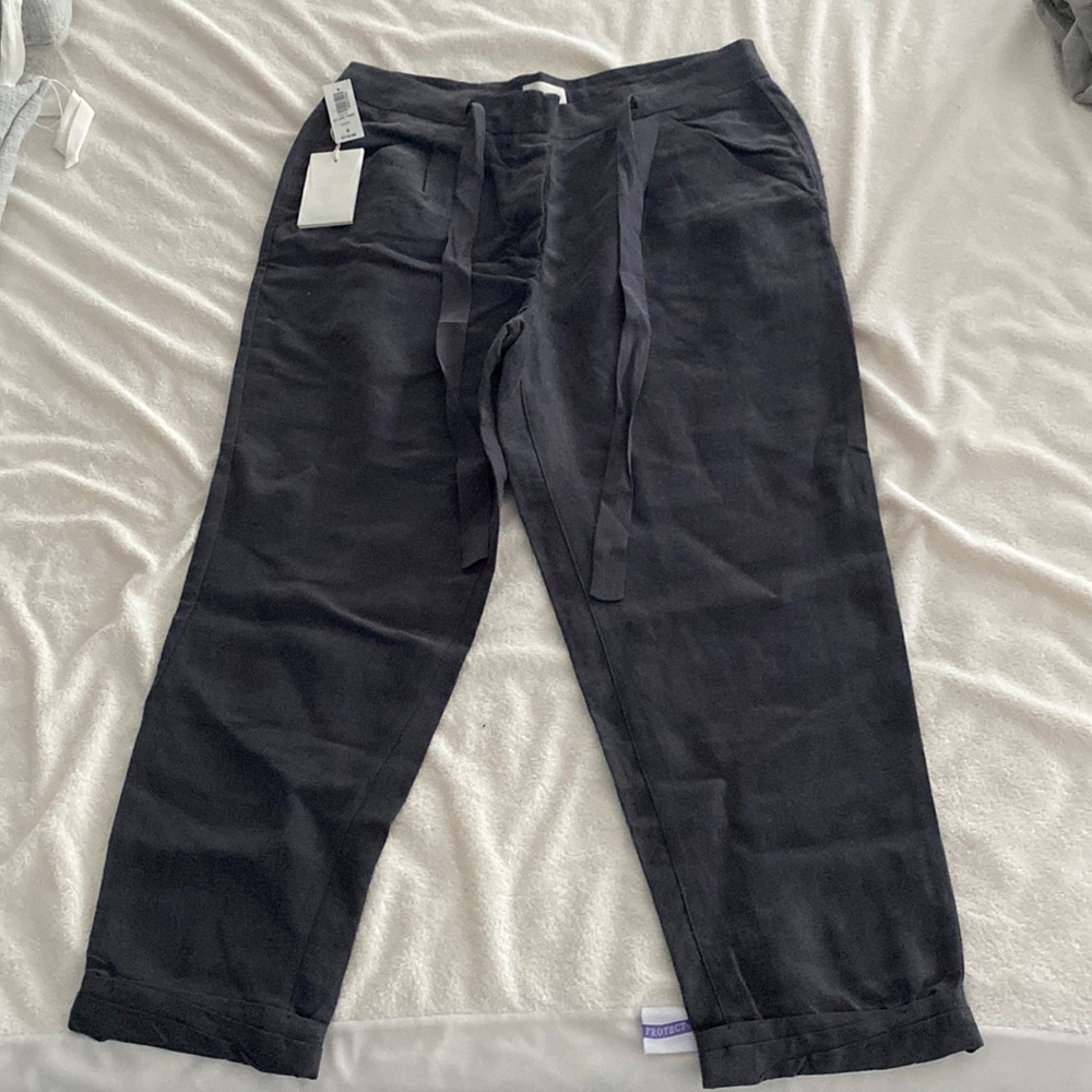Aritzia Allant Pant Kinetic